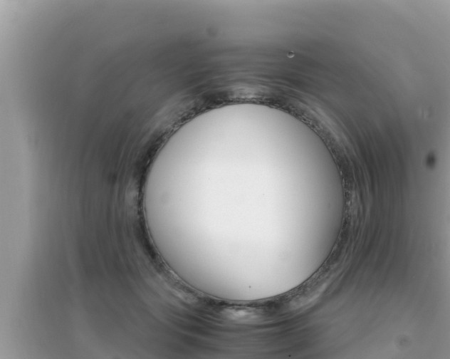 X0000095120557200712070945