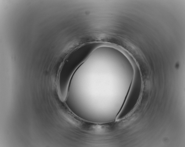 X0000095120558200712070945