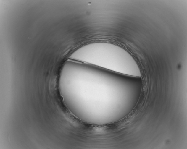 X0000095120560200712070945