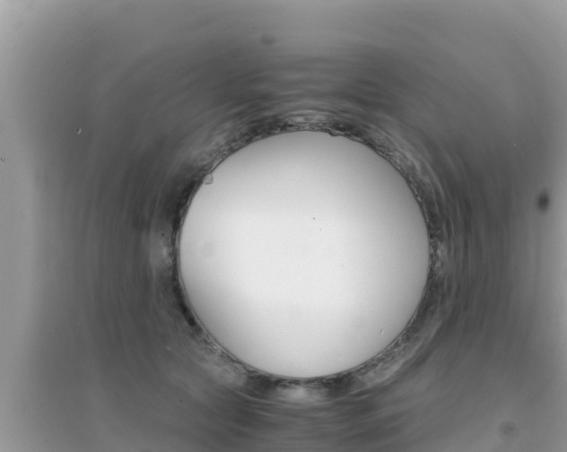 X0000095120561200712070945