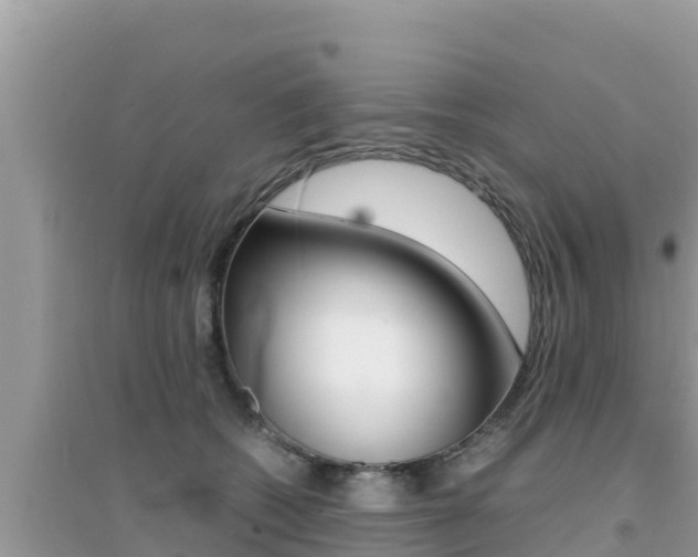 X0000095120562200712070945