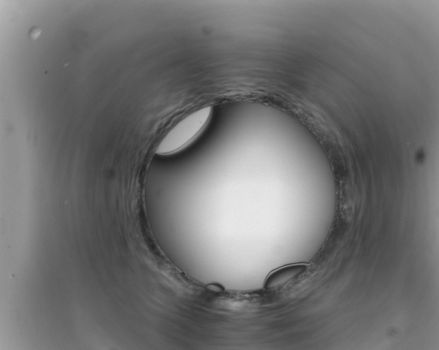 X0000095120563200712070945
