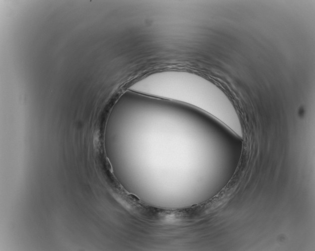 X0000095120564200712070945
