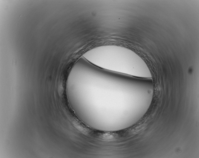 X0000095120566200712070946