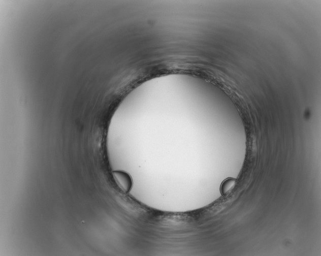 X0000095120567200712070946