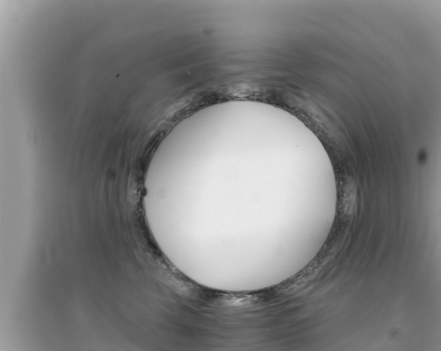 X0000095120569200712070946