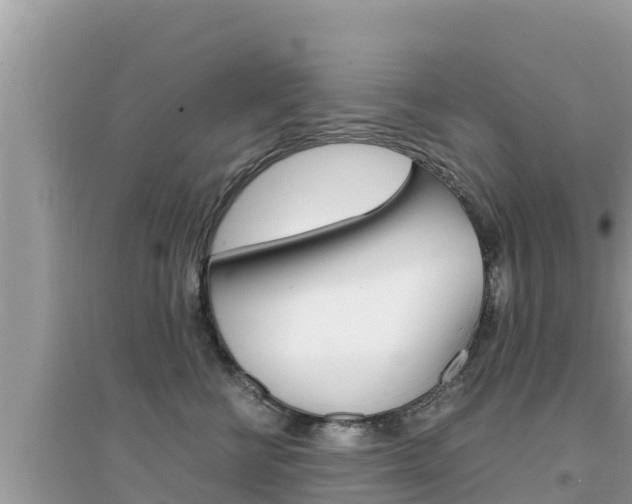 X0000095120570200712070946