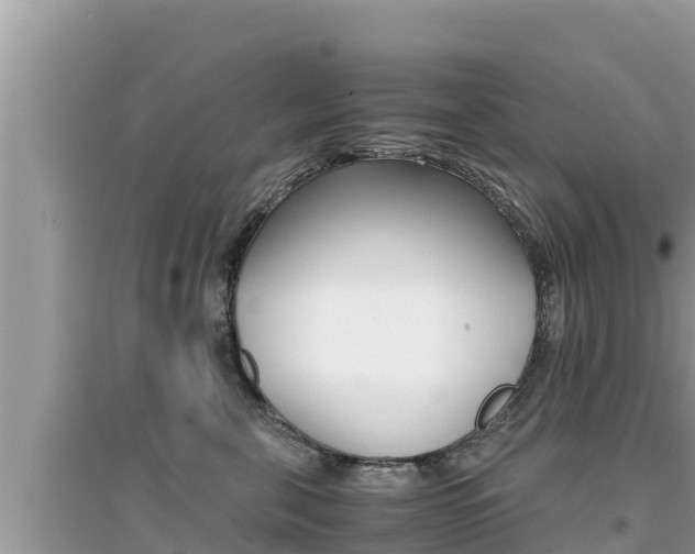 X0000095120571200712070946