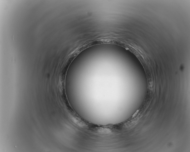 X0000095120572200712070946