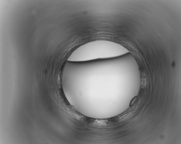 X0000095120573200712070946