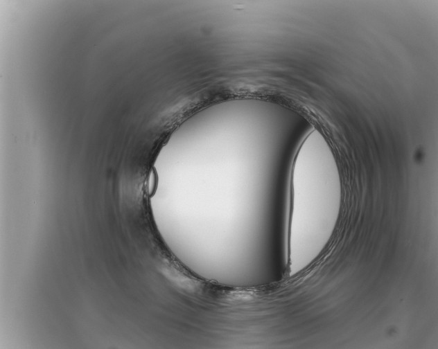 X0000095120574200712070946