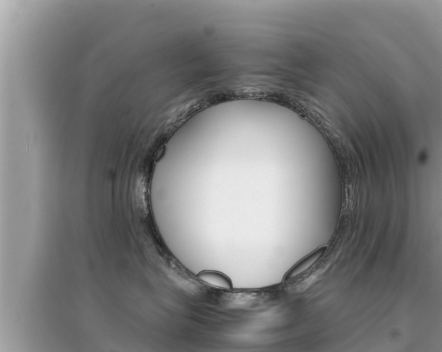 X0000095120575200712070946