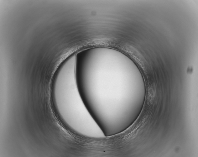 X0000095120578200712070945