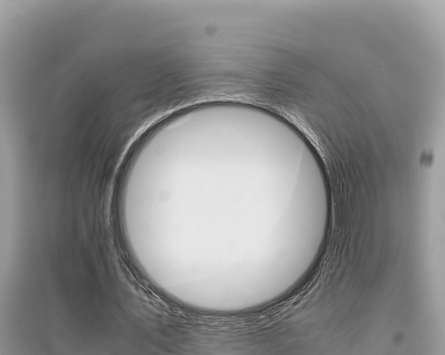 X0000095120579200712070945