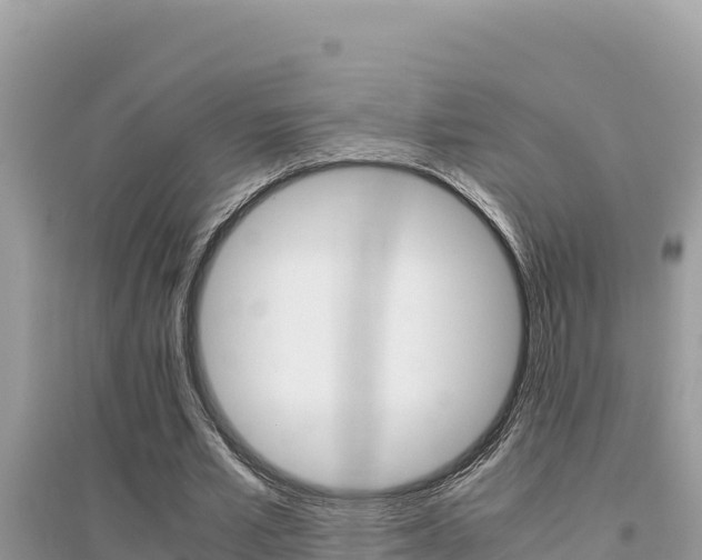 X0000095120581200712070945
