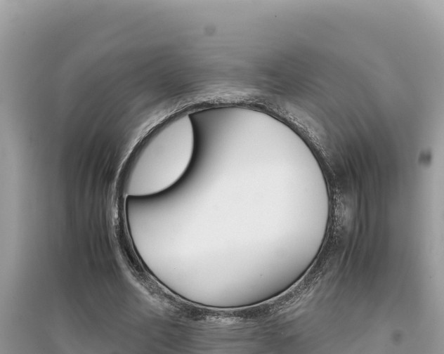 X0000095120582200712070945