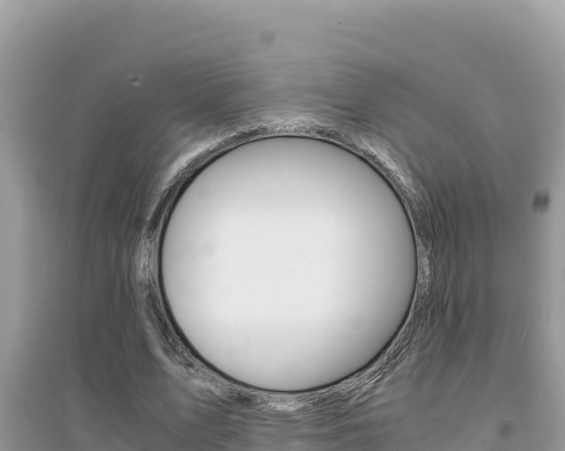 X0000095120583200712070945