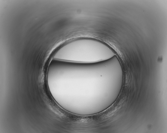 X0000095120584200712070945