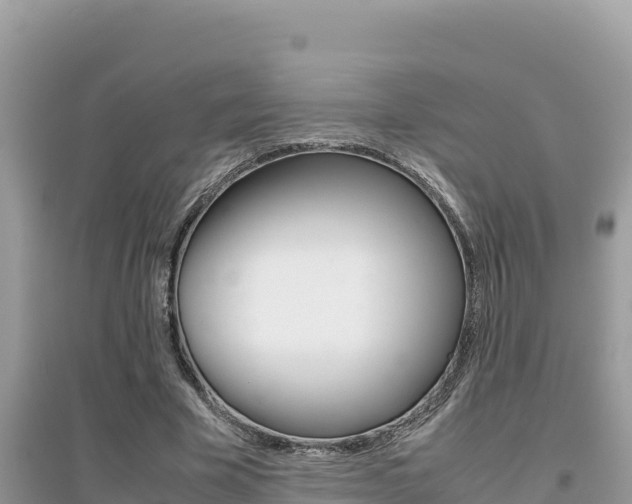 X0000095120585200712070945