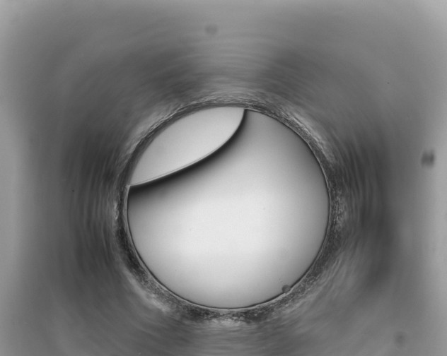 X0000095120586200712070945