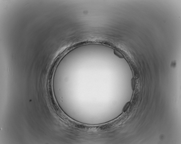 X0000095120587200712070945