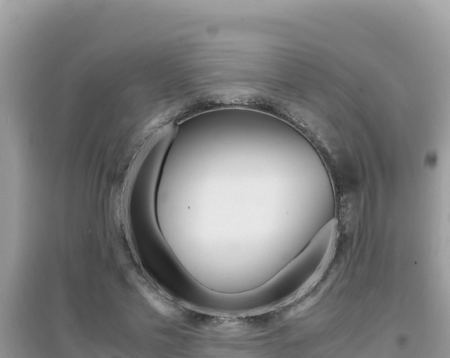 X0000095120589200712070945