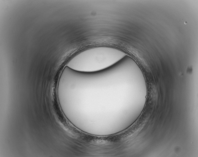 X0000095120590200712070945