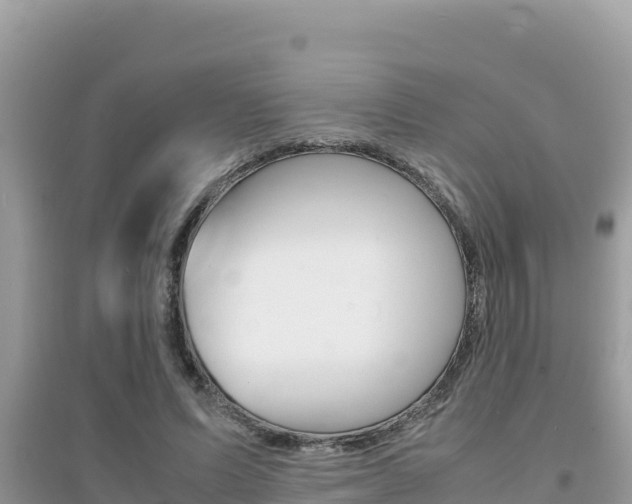 X0000095120591200712070945