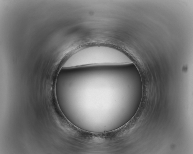 X0000095120592200712070945