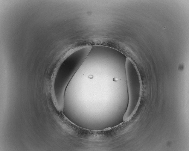 X0000095120593200712070945