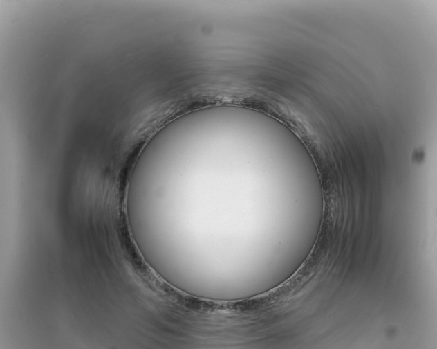X0000095120594200712070945