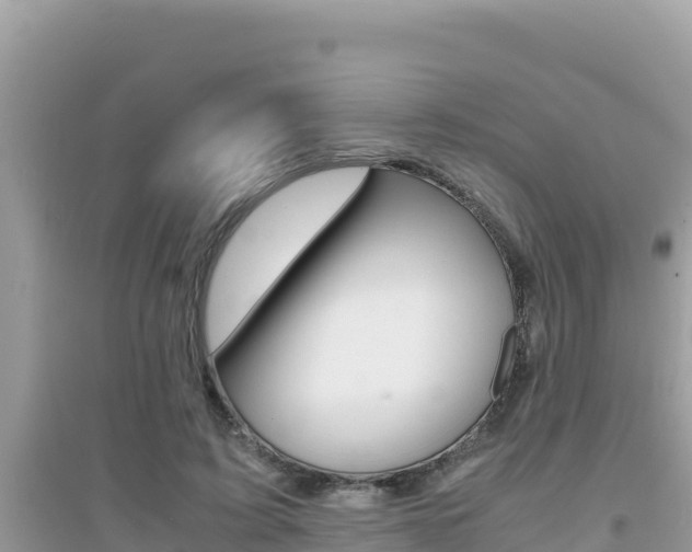 X0000095120595200712070945