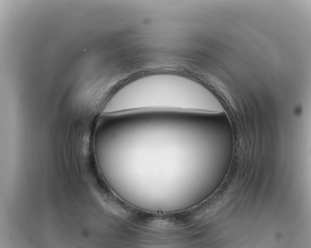 X0000095120596200712070945