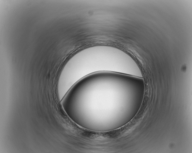 X0000095120597200712070945