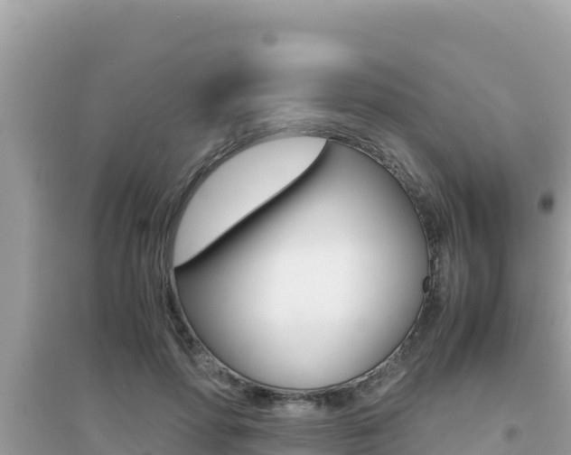 X0000095120598200712070945