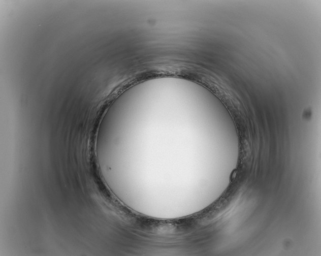 X0000095120600200712070945