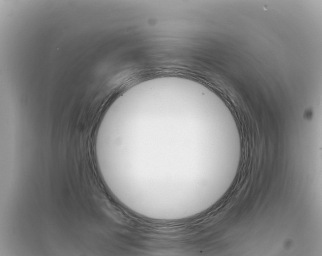 X0000095120601200712070945