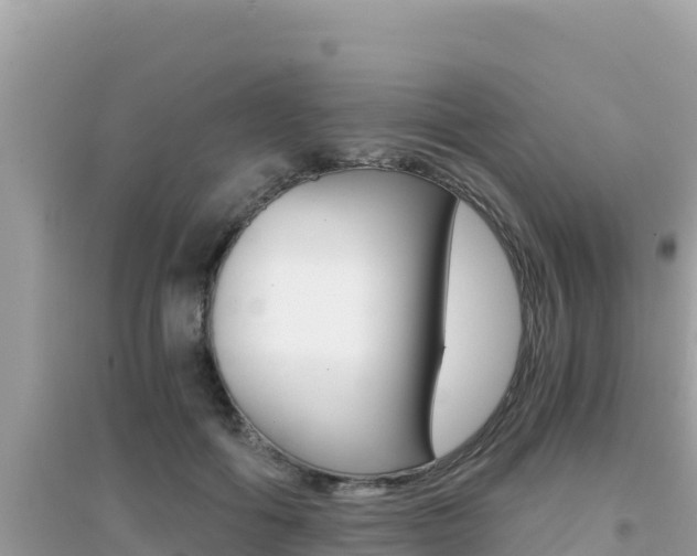 X0000095120602200712070945