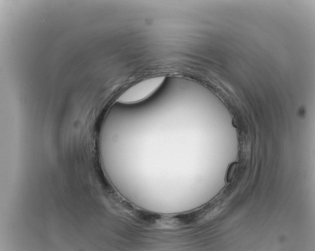 X0000095120603200712070945