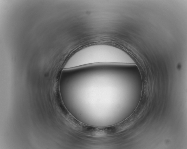 X0000095120604200712070945