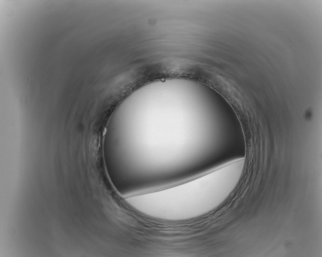 X0000095120605200712070945