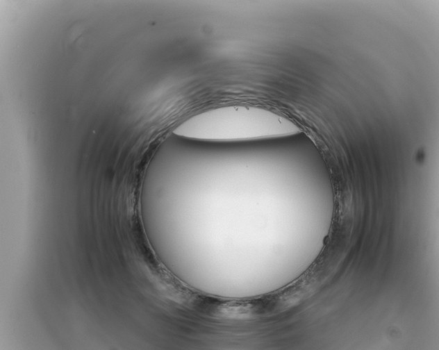 X0000095120606200712070945