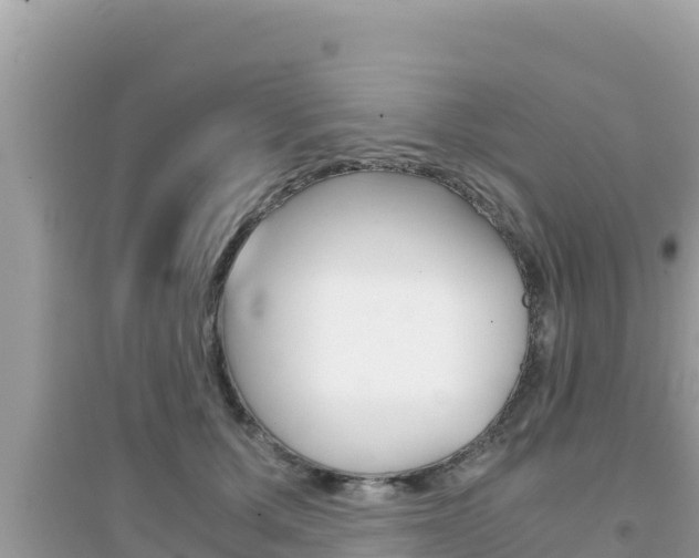 X0000095120607200712070945