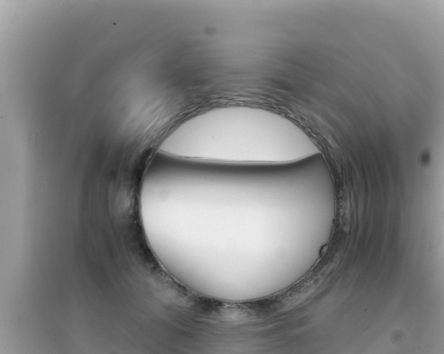 X0000095120608200712070945