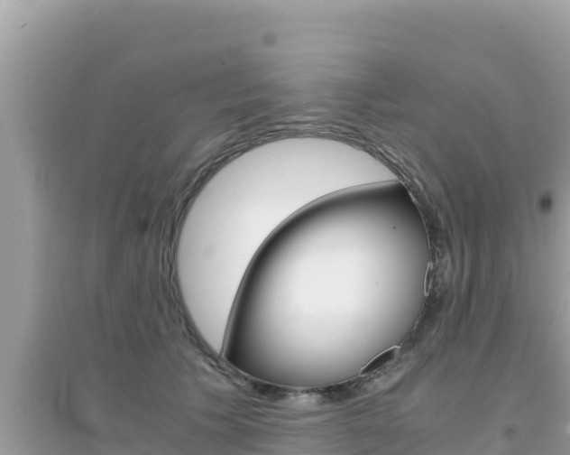 X0000095120609200712070945