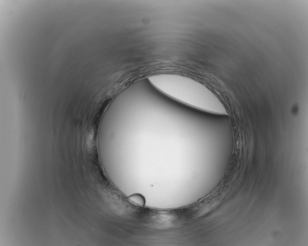 X0000095120610200712070945