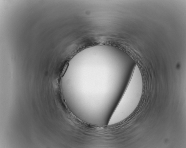 X0000095120611200712070945