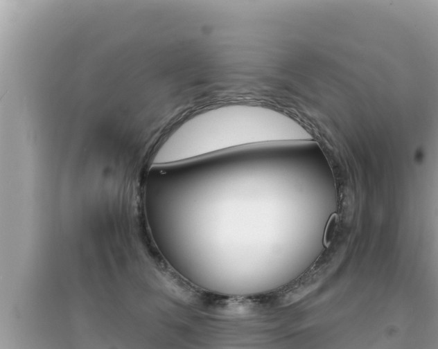 X0000095120612200712070944
