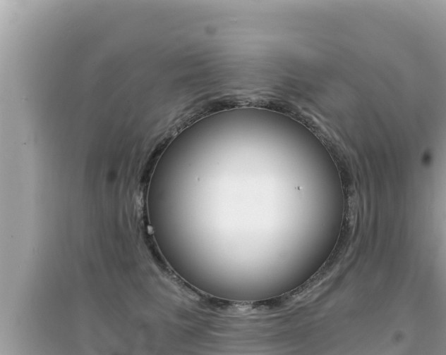 X0000095120613200712070944