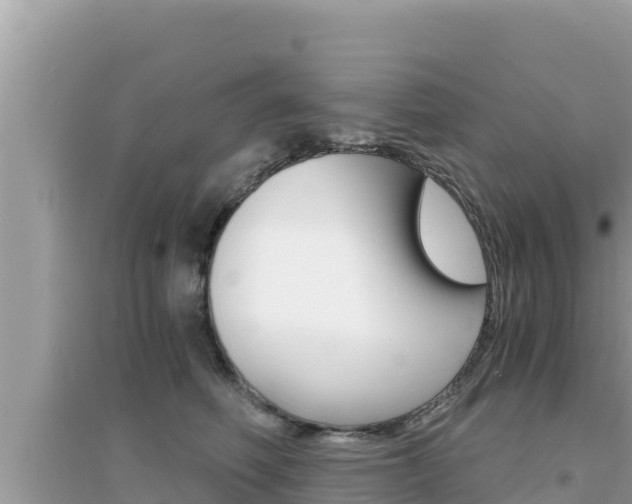 X0000095120614200712070944